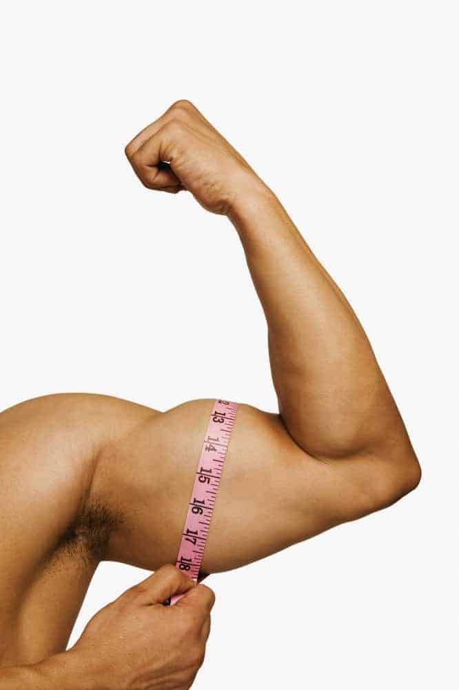 biceps-circuit